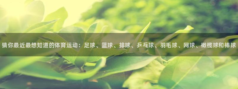 利记官方正版app五金厂：猜你最近最想知道的体育运动