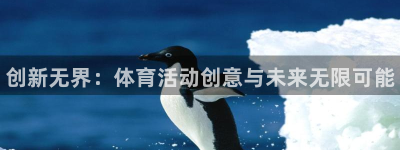 利记官方平台体育：创新无界：体育活动创意与未来无限可