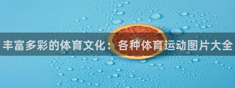利记官网下载招商电话是多少：丰富多彩的体育文化：各种