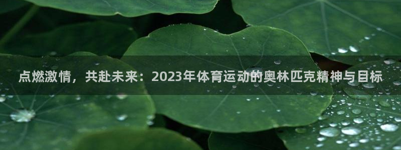 利记官网下载招商电话是多少号码：点燃激情，共赴未来：