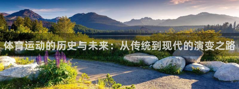 海南利记官网下载发展怎么样：体育运动的历史与未来：从