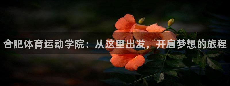 利记官方正版app集团简介：合肥体育运动学院：从这里