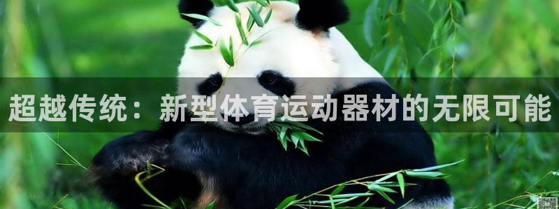 利记官方正版app娱乐40996：超越传统：新型体育