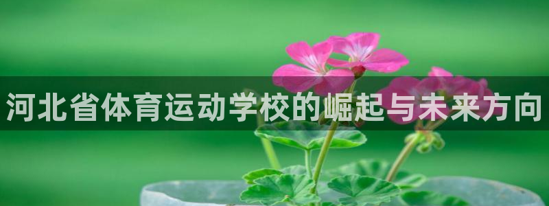 利记官方正版app娱乐下载