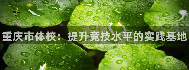海南利记官网下载：重庆市体校：提升竞技水平的实践基地