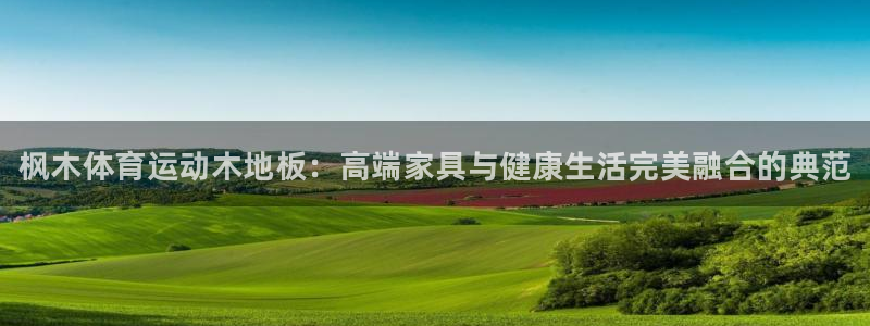 利记官方正版app娱乐首页网站大全：枫木体育运动木地