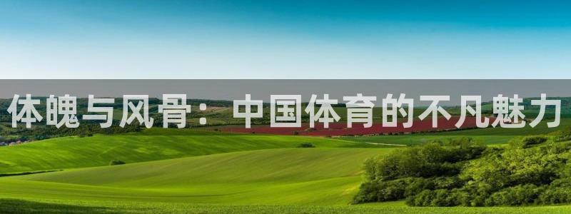 利记官方正版app娱乐代理怎么样：体魄与风骨：中国体