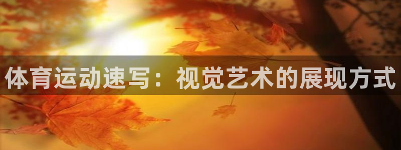 利记官方正版app娱乐下载：体育运动速写：视觉艺术的