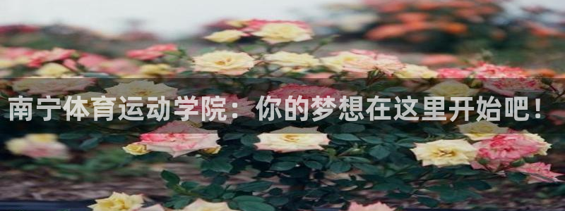 利记官方正版app娱乐是那个系列的台子：南宁体育运动学院：你