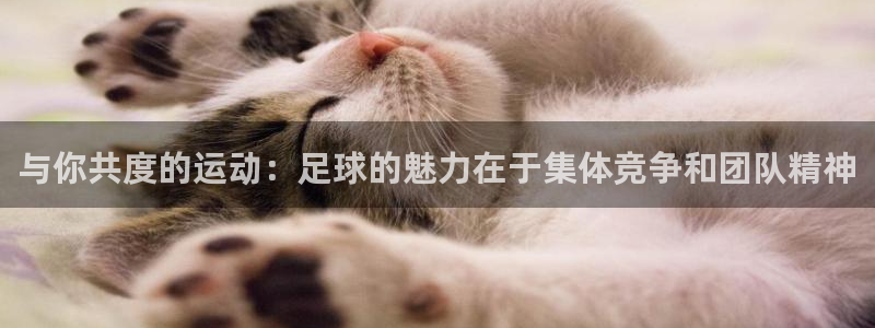 利记官方正版app娱乐代理怎么样：与你共度的运动：足