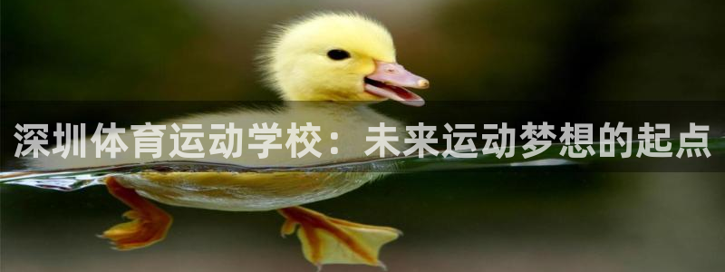 利记官方正版app集团
