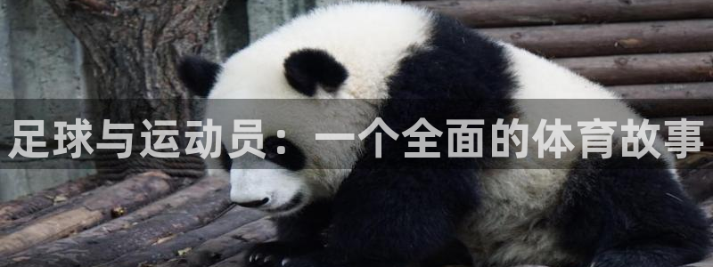 利记官网下载招商电话是多少啊：足球与运动员：一个全面的体育故