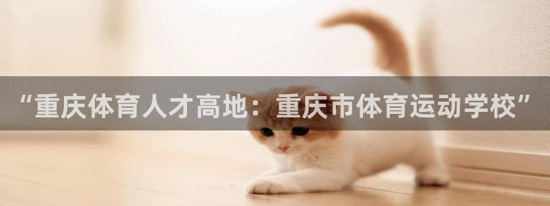 利记官网下载招商电话：“重庆体育人才高地：重庆市体育