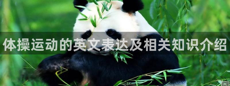 利记官方正版app集团E.ON：体操运动的英文表达及相关知识