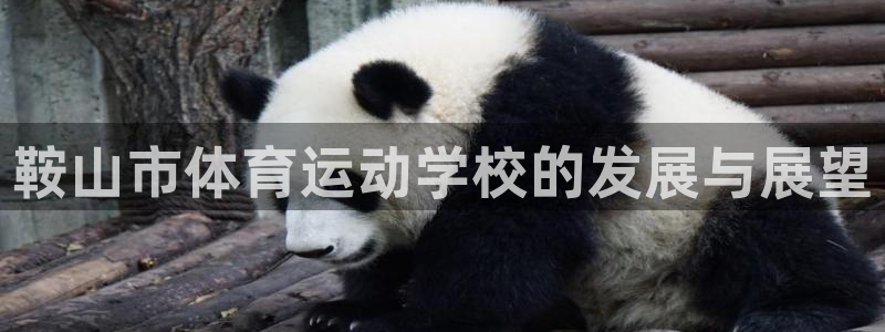 利记官网下载平台是正规平台吗安全吗：鞍山市体育运动学校的发展