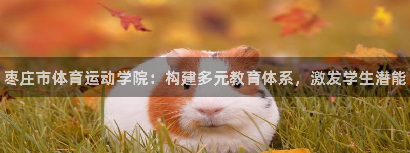 利记官方正版app娱乐：枣庄市体育运动学院：构建多元教育体系