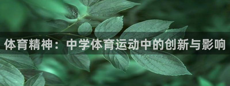 利记官网下载招商电话：体育精神：中学体育运动中的创新