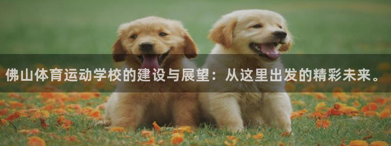 利记官方正版app娱乐下载