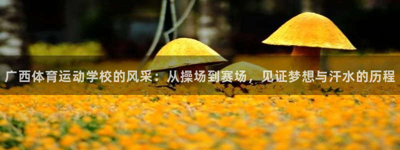 利记官方正版app神州：广西体育运动学校的风采：从操