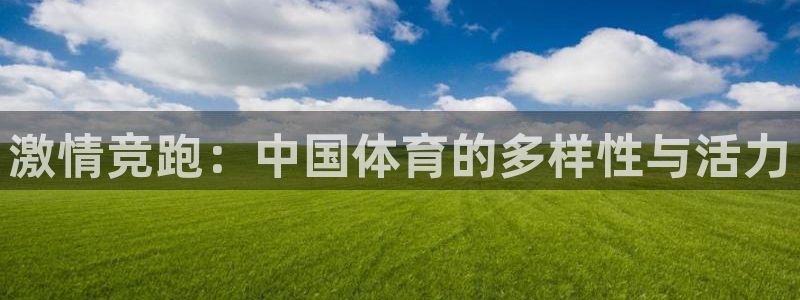 利记官方正版app娱乐下载：激情竞跑：中国体育的多样性与活力