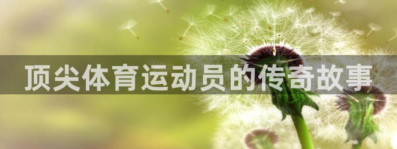 利记官网下载平台注册：顶尖体育运动员的传奇故事