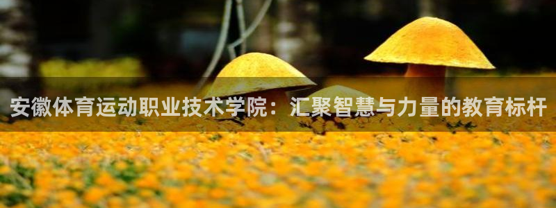利记sbobet官方网站入口：安徽体育运动职业技术学院：汇聚