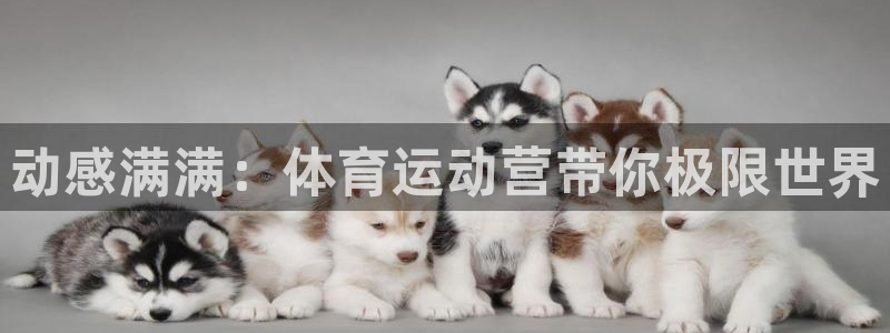 利记官方是什么