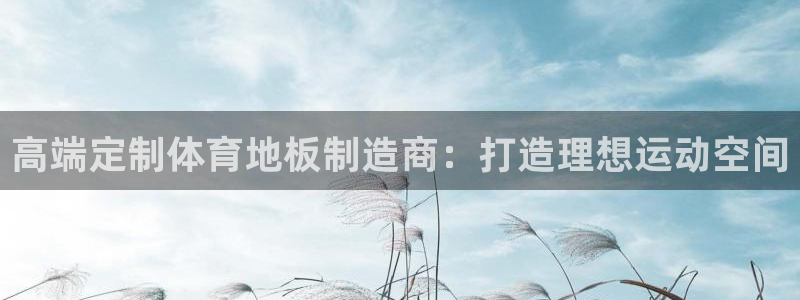 利记官网平台入口：高端定制体育地板制