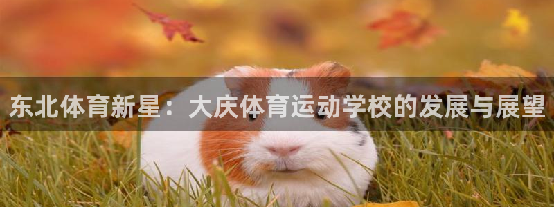  利记sbob欧赔分析：东北体育新星：大庆体育运动学校的发展与