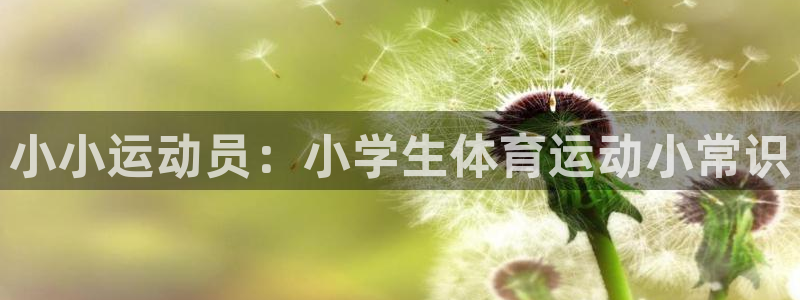 利记SBOBET官网：小小运动员：小