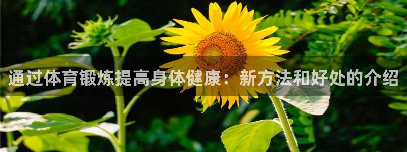  利记官方网站是多少：通过体育锻炼提高身体健康：新方法和好处的