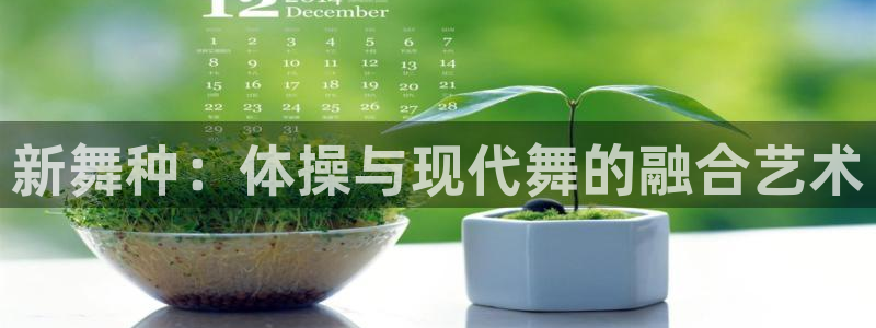  利记轮渡集团：新舞种：体操与现代舞的融合艺术