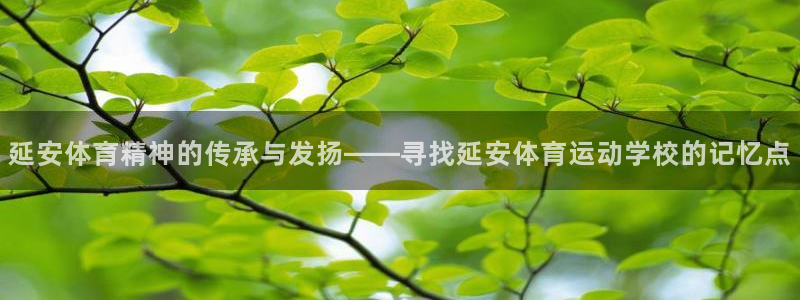 利记sbobet注册登录：延安体育精