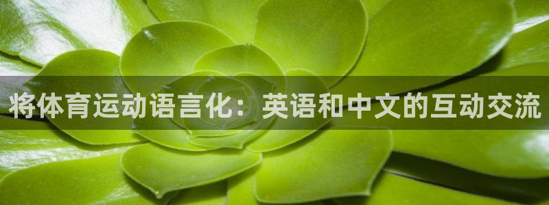 利记平台是哪的：将体育运动语言化：英语和中文的互动交流