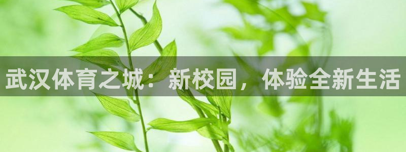 利记官网地址：武汉体育之城：新校园，