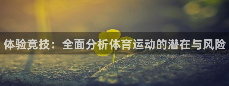 利记app官网(中国)官方网站