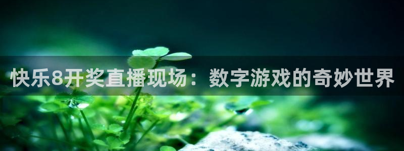 山猫在线体育直播篮球：快乐8开奖直播现场：数字游戏的奇妙世界
