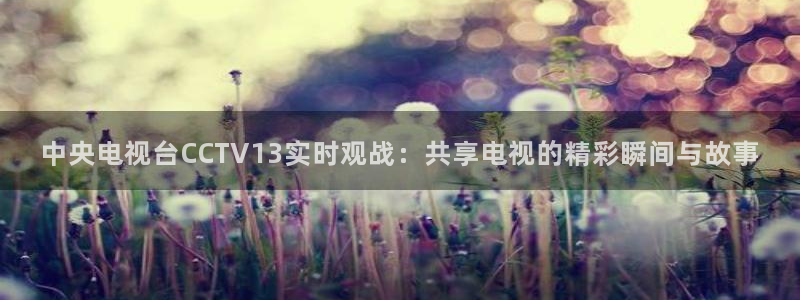 山猫nba体育直播官网：中央电视台CCTV13实时观战：共享电视的精彩瞬间与故事