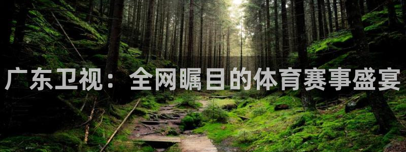 山猫篮球直播：广东卫视：全网瞩目的体育赛事盛宴