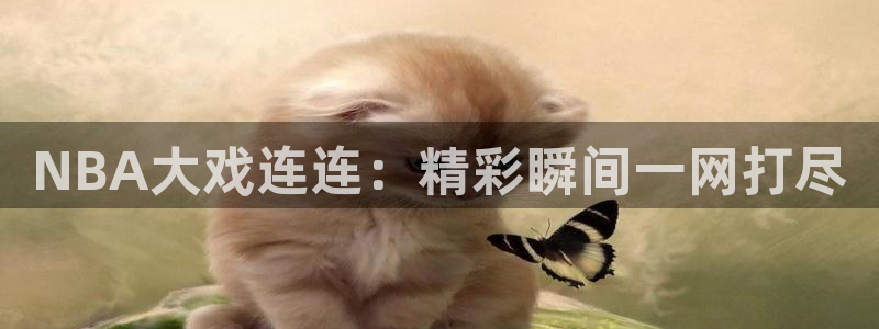 山猫体育直播免费观看高清：NBA大戏连连：精彩瞬间一网打尽