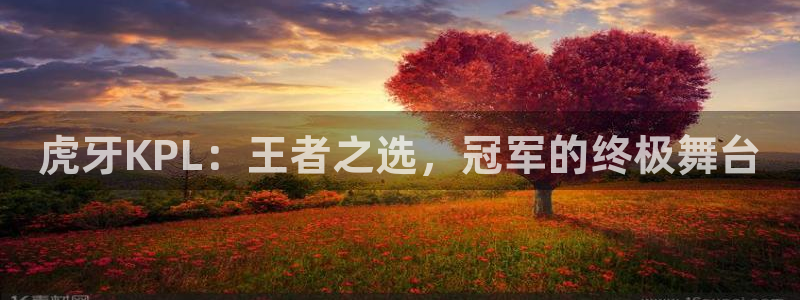 山猫tv篮球直播：虎牙KPL：王者之选，冠军的终极舞台