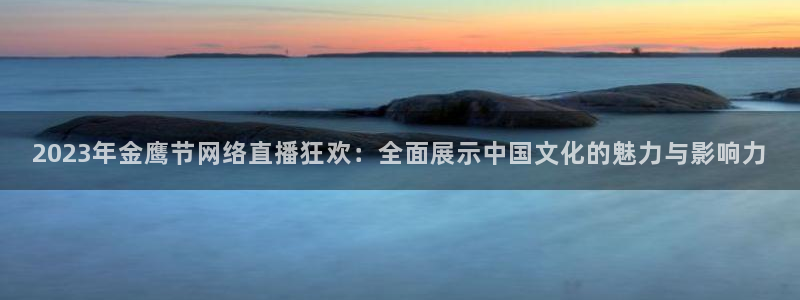 山猫篮球体育直播：2023年金鹰节网络直播狂欢：全面展示中国文化的魅力与影响力