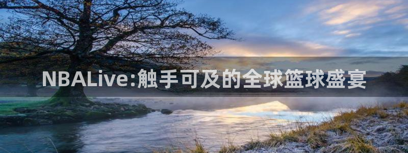 山猫体育免费直播：NBALive:触手可及的全球篮球盛宴